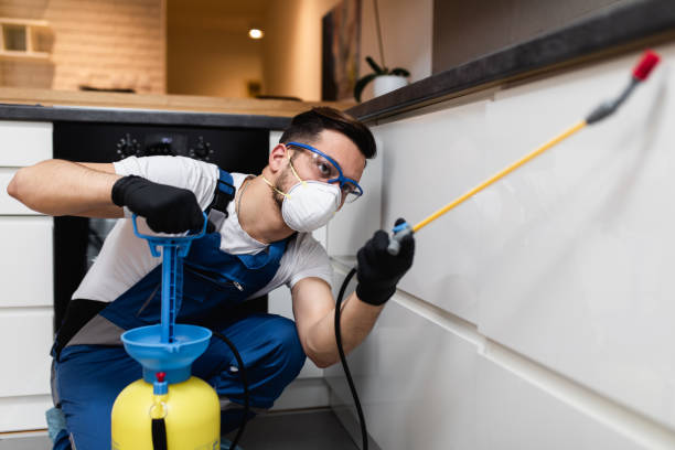 Best Rat Extermination Near Me  in Lodi, NJ