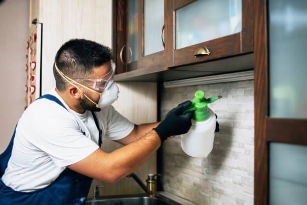 Professional Pest Control in Lodi, NJ