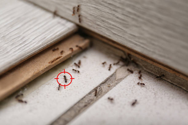 Wildlife Control Services in Lodi, NJ