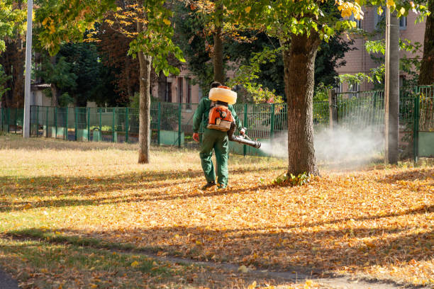 Best Commercial Pest Control Services  in Lodi, NJ