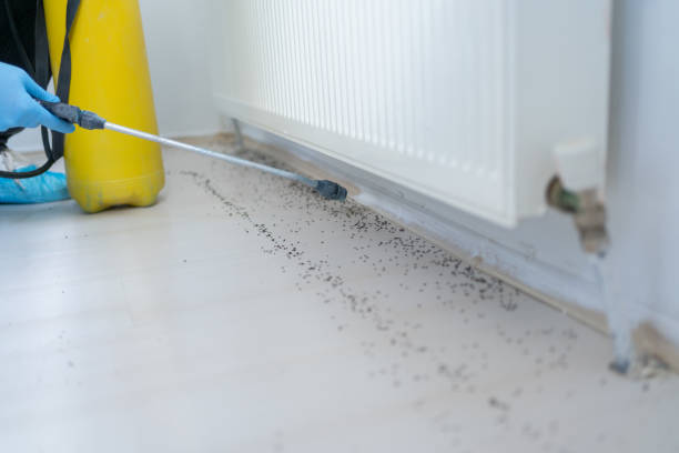 Best Pest Control Treatment  in Lodi, NJ
